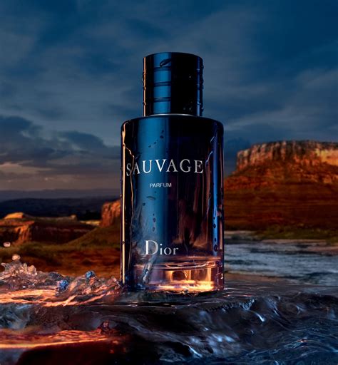 dior savauhe|dior sauvage website.